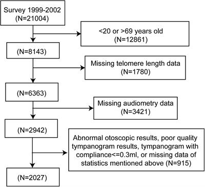 Exploring the Association of Leukocyte Telomere Length and Hearing Threshold Shifts of Adults in the United States